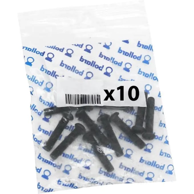 Set van 10 inbusbouten P2R