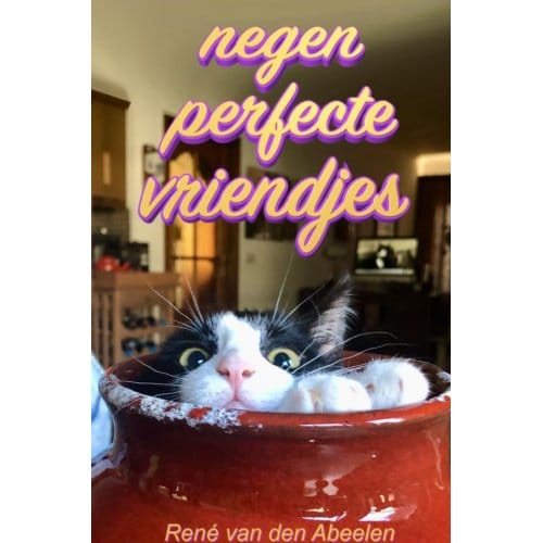 Negen Perfecte Vriendjes (Hc) - René van den Abeelen
