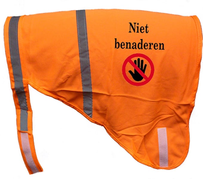 Hondenhesje "NIET BENADEREN", Maat M, Kleur Oranje