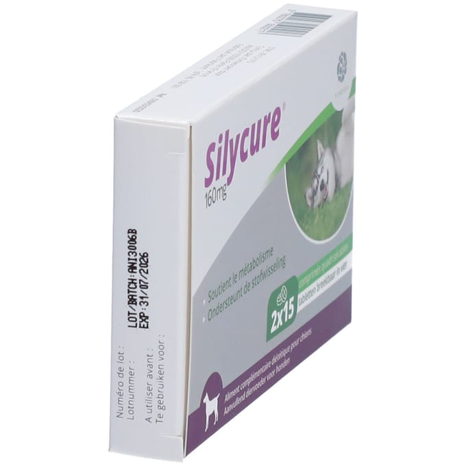 Silycure® 160 mg 2x15 Tabletten
