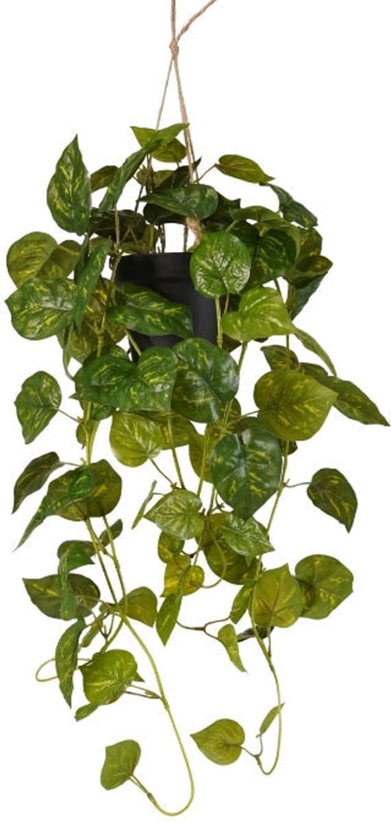Emerald - Kunst Hangplant Scindapsus in pot groen/geel 70cm - Kunstplant voor binnen