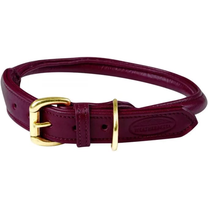 Opgerolde leren hondenhalsband Weatherbeeta
