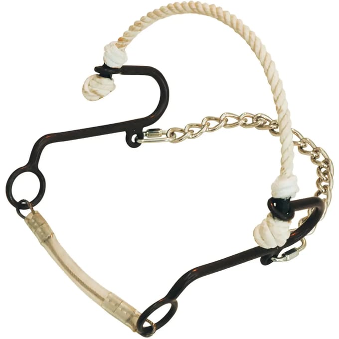 Antieke korte hackamore voor paard Metalab