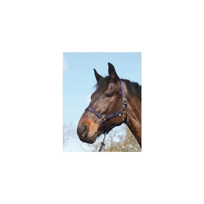 Nylon paardenhalster HorseGuard