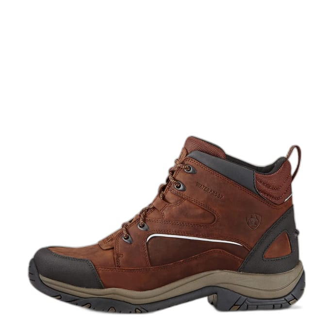 Ariat Stalschoenen Ariat Telluride Ii H2o Men Donkerbruin