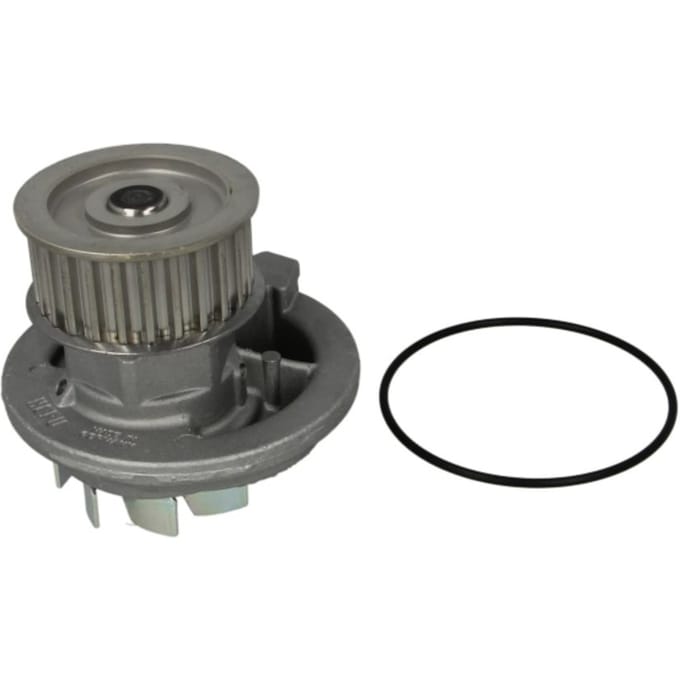 Waterpomp HEPU P316