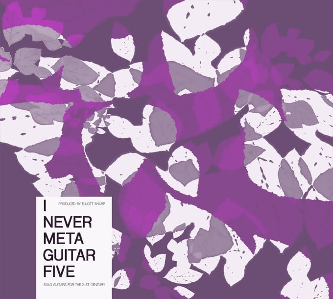 Various Artists - I Never Metaguitar Five (Solo Guitars For The 21st Century) (CD)