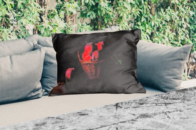 Buitenkussens - Mand - Pruim - Roze - Rustiek - Fruit - Stilleven - 60x40 cm - Weerbestendig