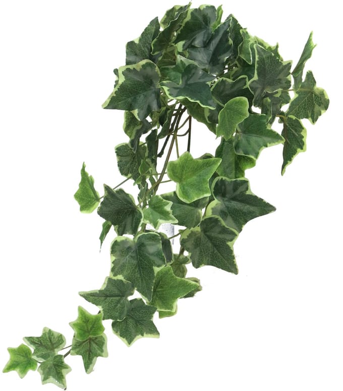 Ivy Chicago hanger M variegated 46 cm kunstbloem Erutan Avon