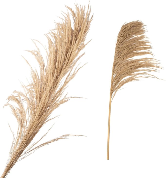 Fluffy grass dried 140cm ( 1 stuk)
