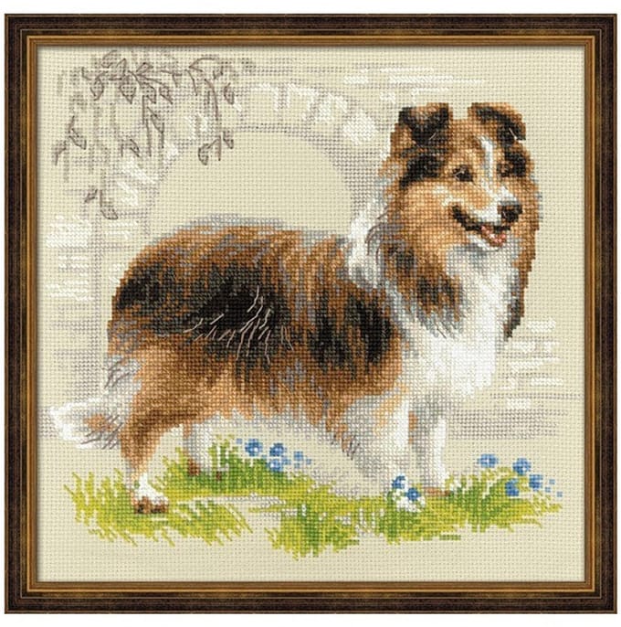 Sheltie Aida Telpakket Riolis