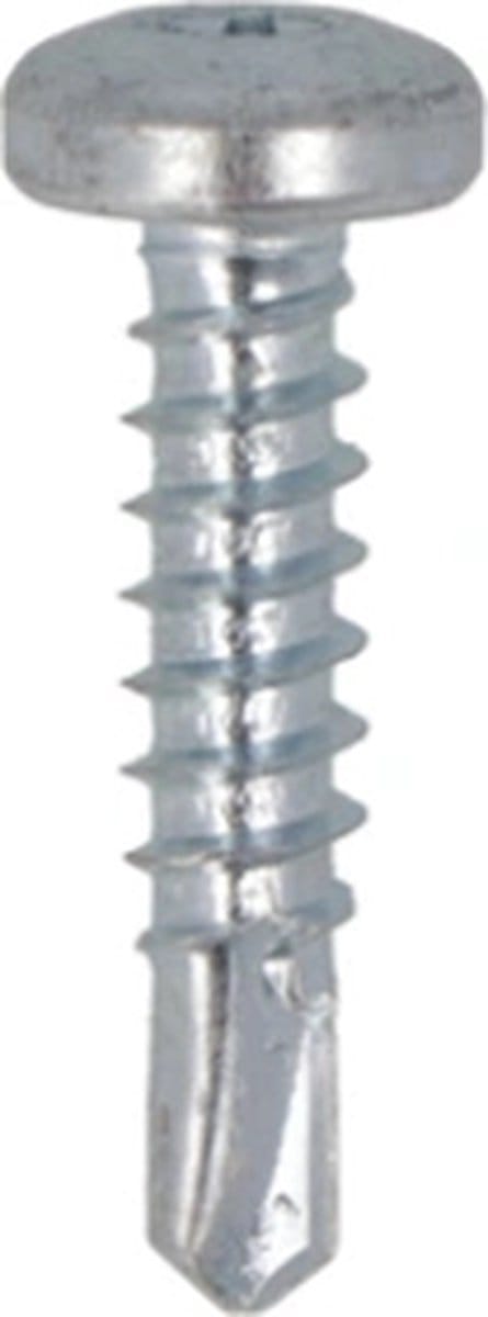 Proftec zelfb. Plaatschroef 4.8x16mm verz. TX25 CK (200)