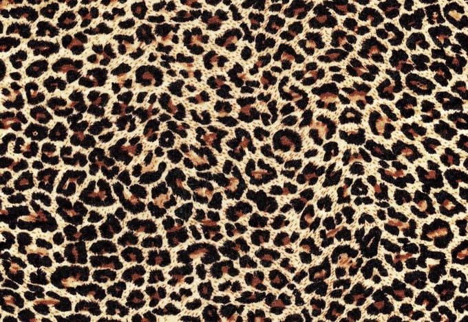 Fotobehang Leopard | PANORAMIC - 250cm x 104cm | 130g/m2 Vlies