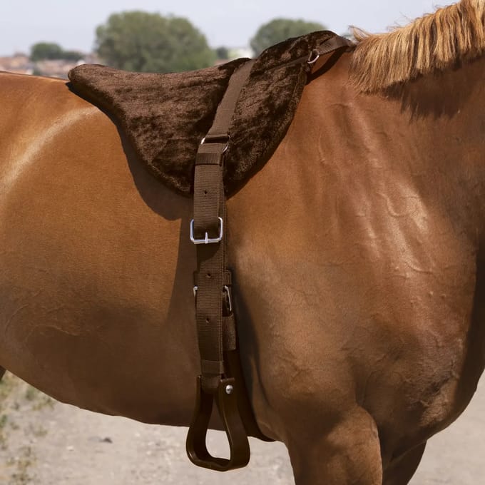 Zadeldek voor paarden zonder zadel Norton