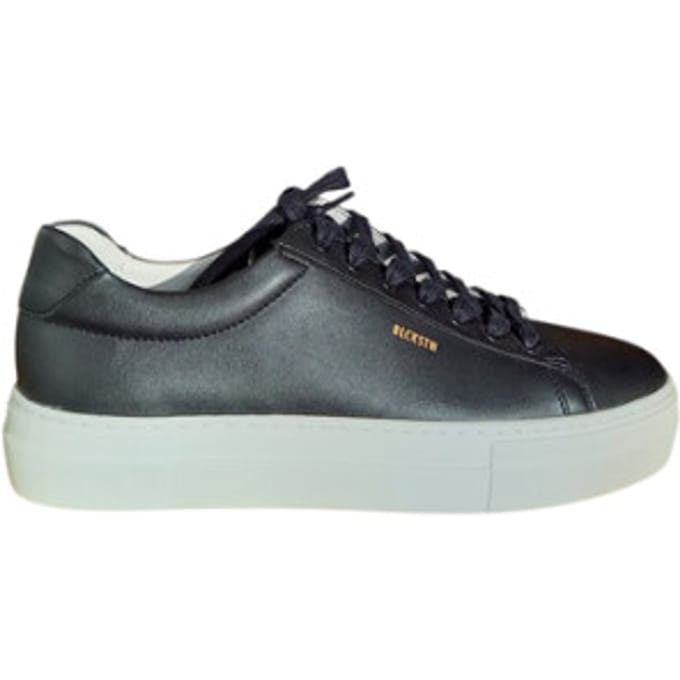 Blackstone Bl488.blk mae