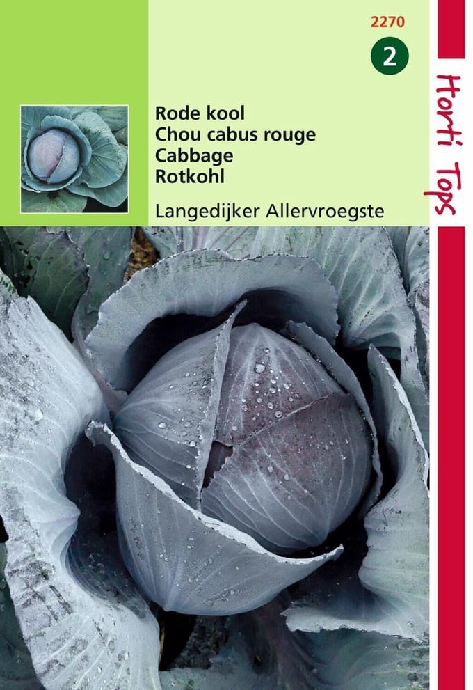 2 stuks Hortitops Rodekool Langedijker Vroege Zomer