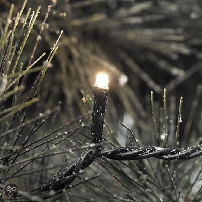 Konst Smide Kerstverlichting buiten 3610-140