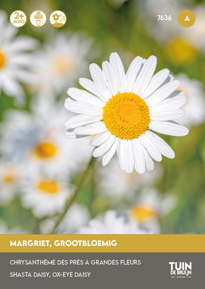 Tuin de Bruijn Margriet Alaska - Bloemzaden - ca. 300 zaden