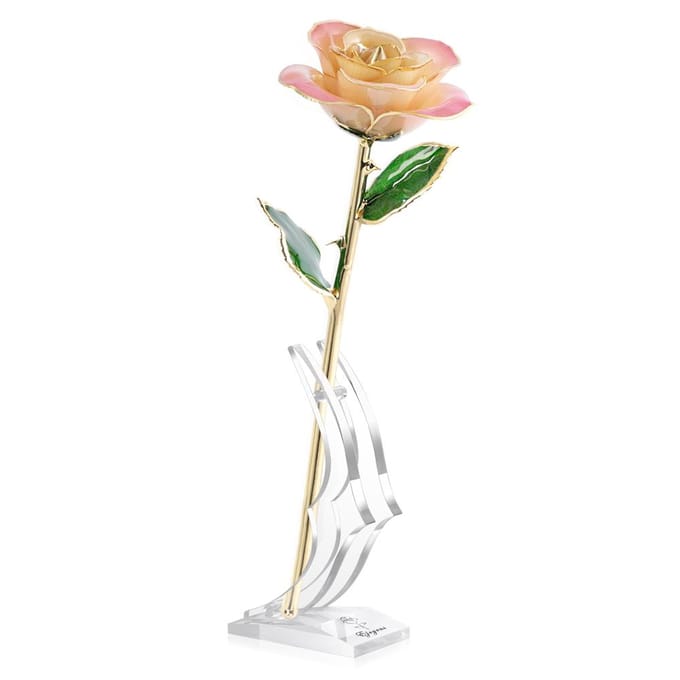 Ejoyous 24K Gouden Echte Roos Verguld met Rozenstandaard Roze Crème beige