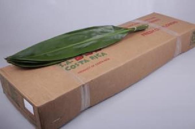 1x Sg cordy.green tie 80cm