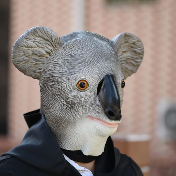 Koala hoofddeksel grappig dierenmasker One size fits all adults grijs
