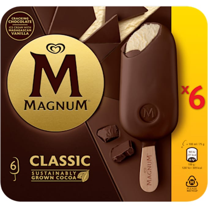 Magnum IJs Classic 6 stuks 6 x 100ml