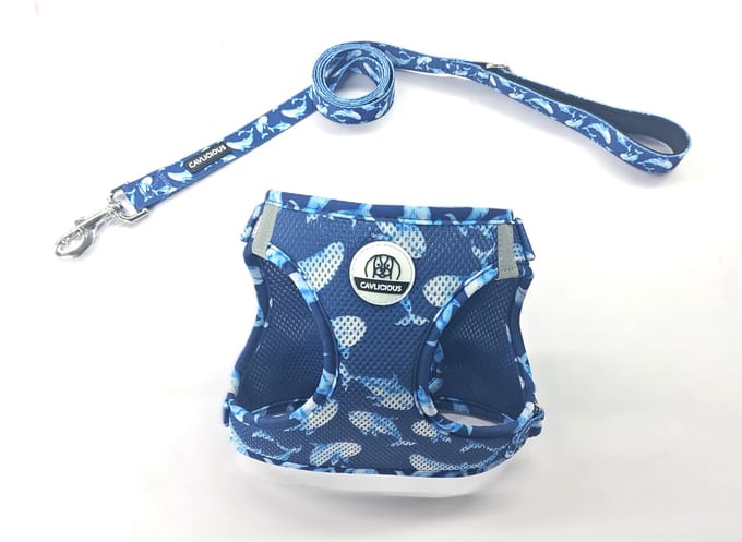 Cavlicious® AirMesh hondentuigje met leiband set - kleine hond - Nanaimo - M