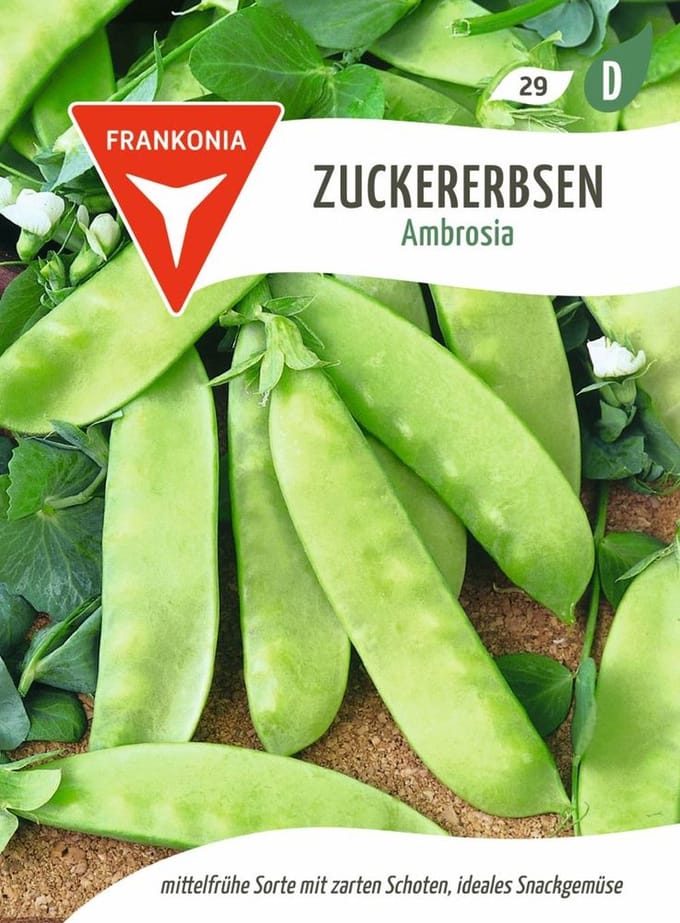 Suikererwt, ambrosia - groentezaden, zaden