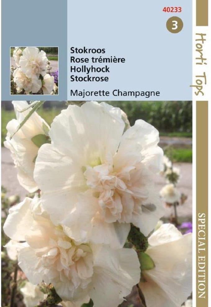 Hortitops Althaea Majorette Champaign