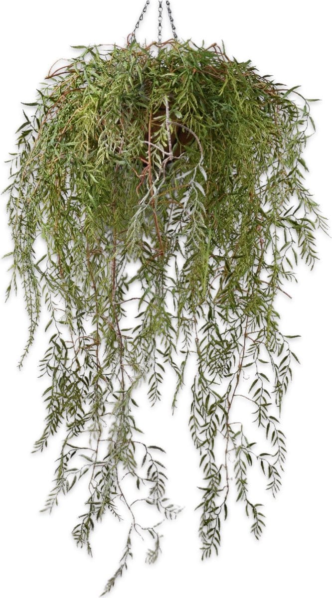 Silk-ka Luxe Zijde Hangplant – Groen – 120 cm