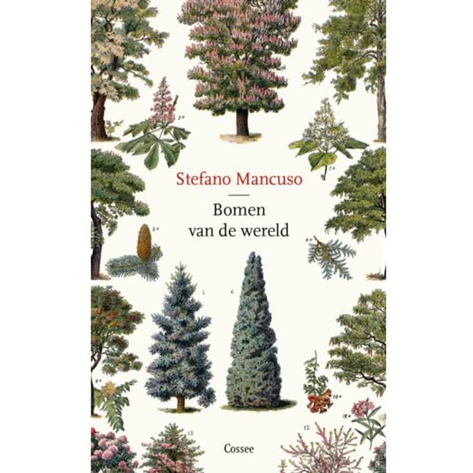 Bomen Van De Wereld - Stefano Mancuso