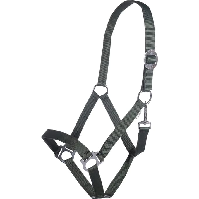 Halster voor paarden HKM Stars Economy