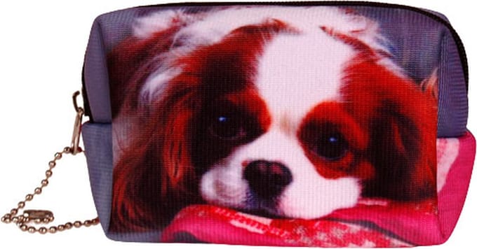 Kleine etui/klein toilettasje Cavalier King Charles Spaniel