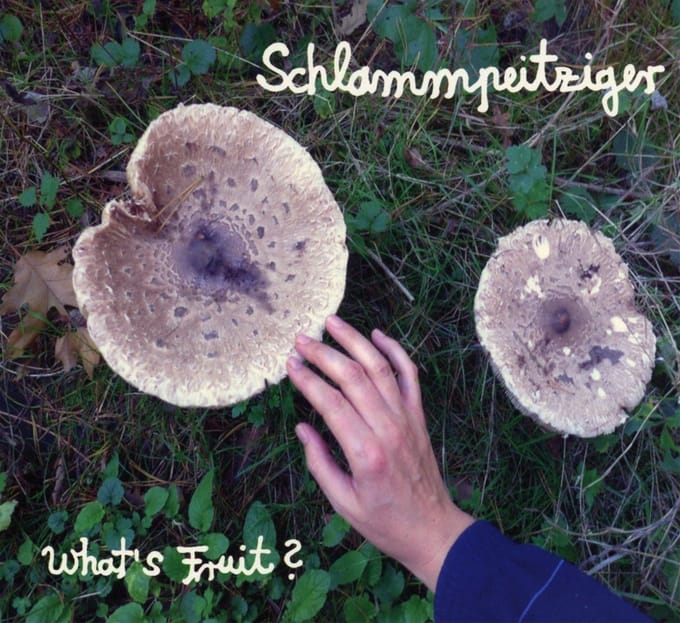 Schlammpeitziger - What's Fruit ? (CD)