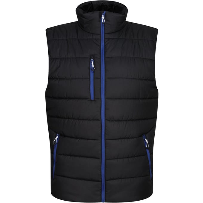 Regatta Thermische bodywarmer Navigate voor heren (Zwart/Nieuw Royal)