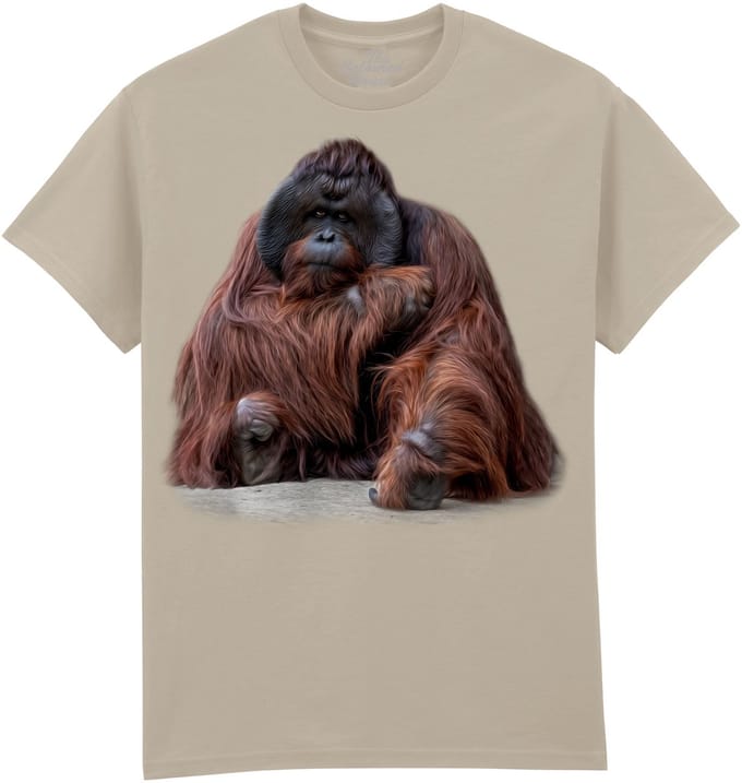Orangoetan Wisdom Beyond Words - Orangutan The Coloured House T-shirt S