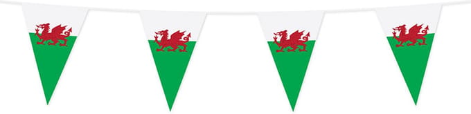 Wefiesta - Vlaggenlijn Wales 20 x 30 cm (10 meter)