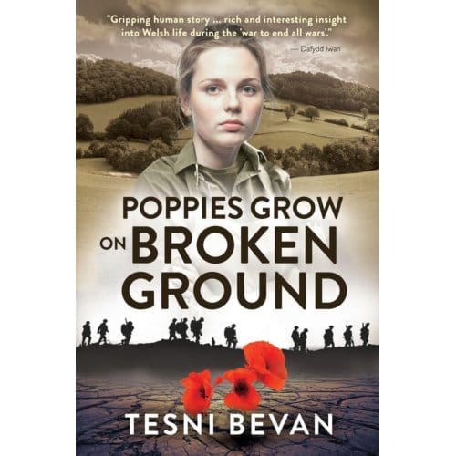 Poppies Grow On Broken Ground - Tesni Bevan