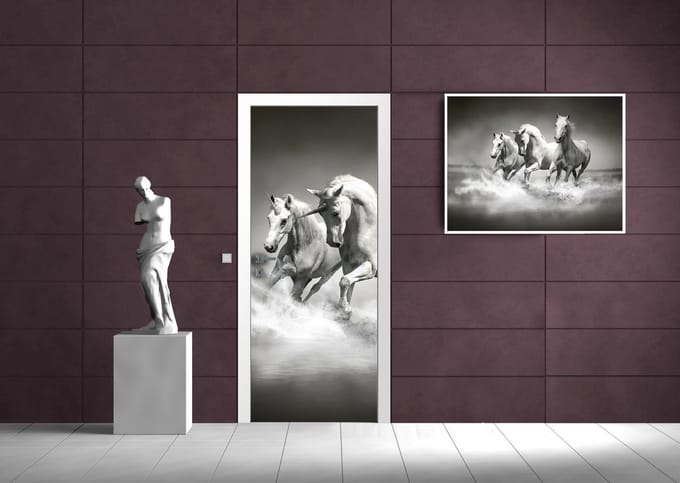 Unicorns Horses Black White Photo Wallcovering