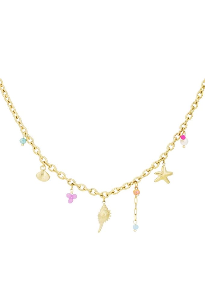 Seabries ketting - Goudkleur- schelp-bedel