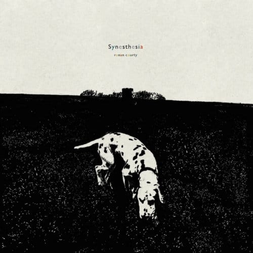 Ronan Courty - Synesthesia (LP)