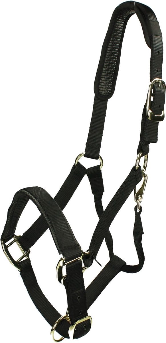 Shires Halster Shires Nylon Topaz Zwart
