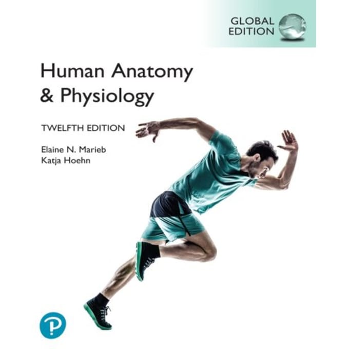 Human Anatomy & Physiology, Global Edition - Elaine Marieb
