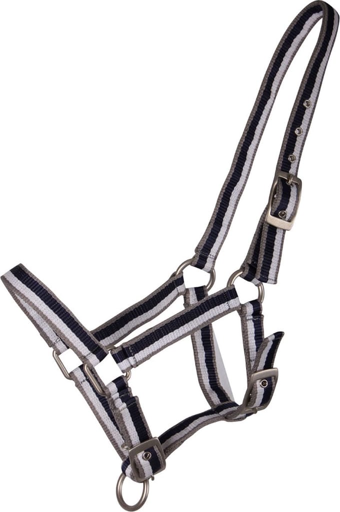 QHP Halster veulen Stripe Fishtail 04