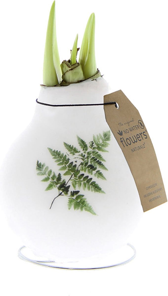 No Water Flowers® Naturalz Botanical Fern