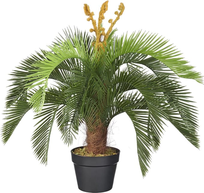 Kunstplant Cycas revoluta H60cm - HTT Decorations kunstplanten
