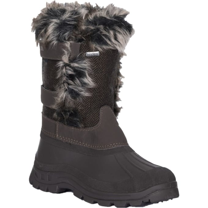 Trespass Dames/Dames Beugel Winter Sneeuwschoenen (Veen)