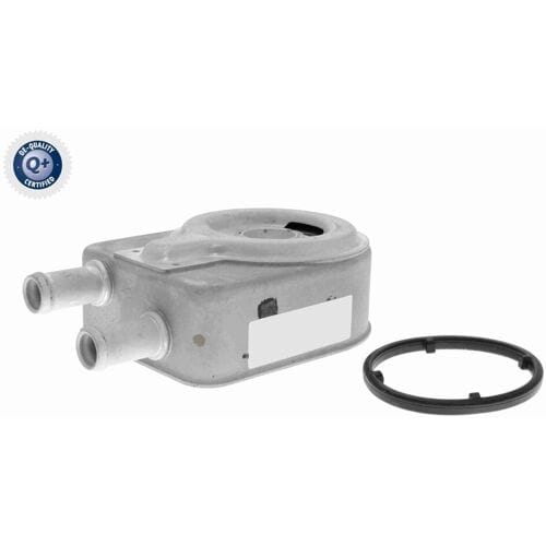 Olie radiator, motorolie ACKOJA A52-60-0018
