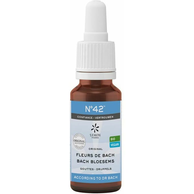 Bachbloesem Bio N°42 Druppels Zelfvertrouwen 20ml