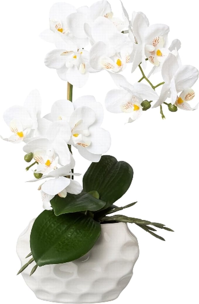 Kopu Kunstplant Orchidee 33 cm In Witte Sierpot 13x9cm - Wit
